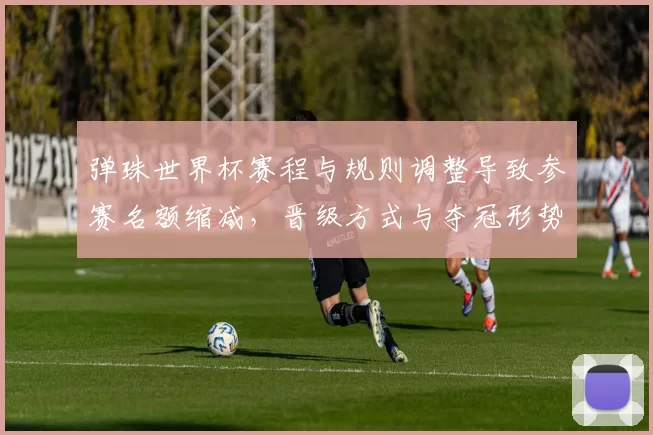 弹珠世界杯赛程与规则调整导致参赛名额缩减，晋级方式与夺冠形势均出现变化